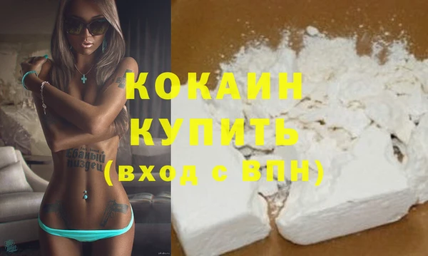 прущие грибы Краснослободск