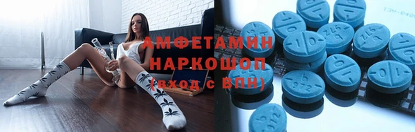 прущие грибы Краснослободск