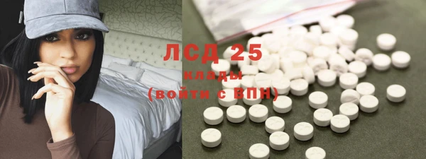 прущие грибы Краснослободск