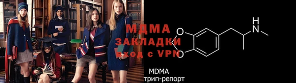 прущие грибы Краснослободск