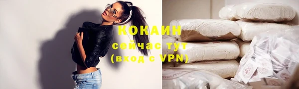 прущие грибы Краснослободск