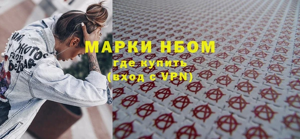 прущие грибы Краснослободск