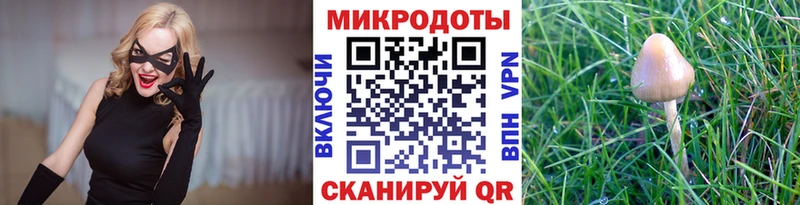 Псилоцибиновые грибы ЛСД  Купить где  Невель 